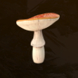 Amanita Rosie